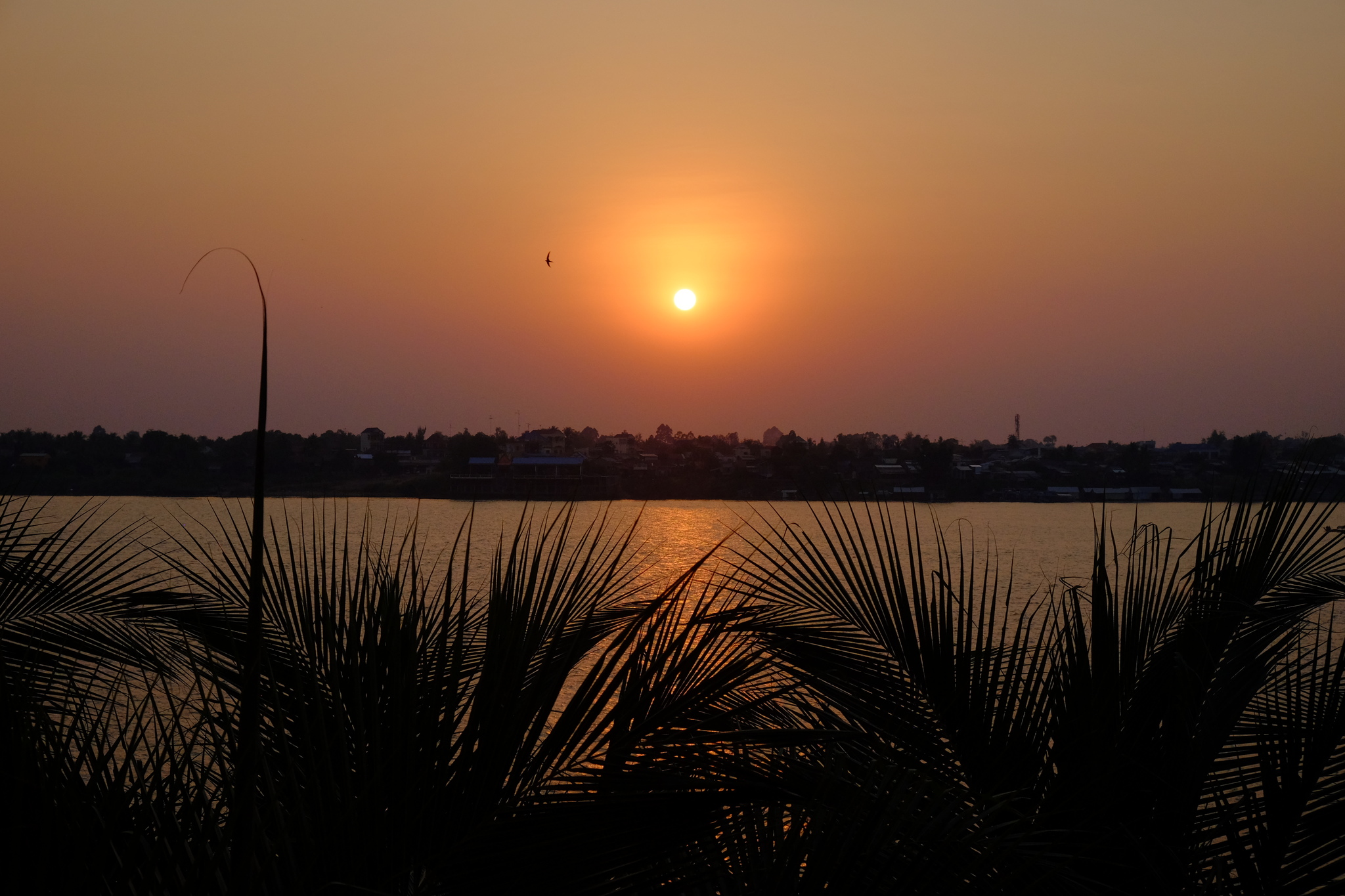 DSCF3103_Easy-Resize.com