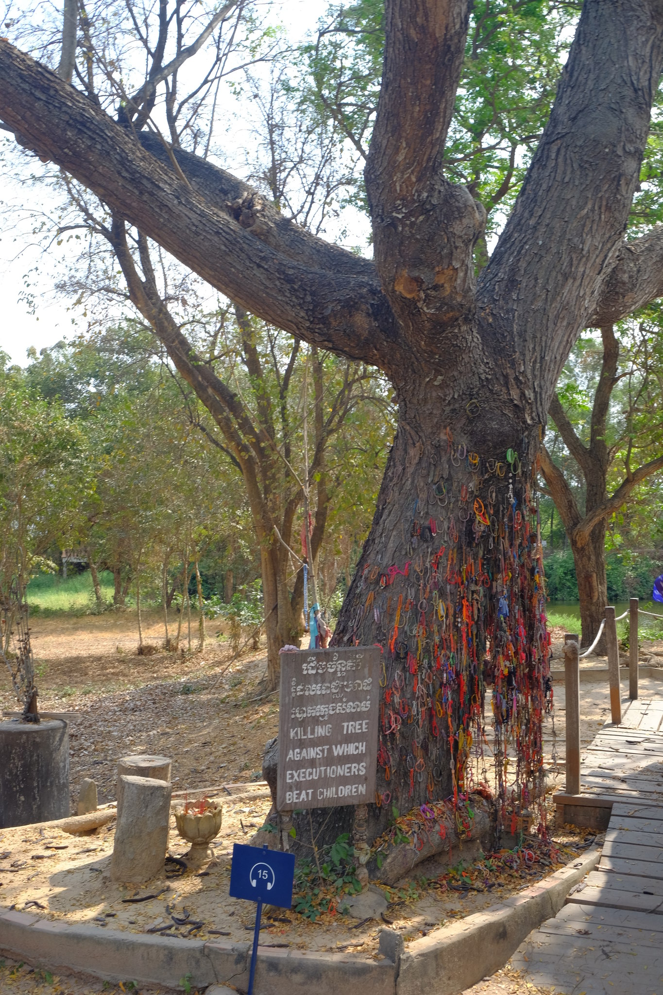 DSCF3136_Easy-Resize.com