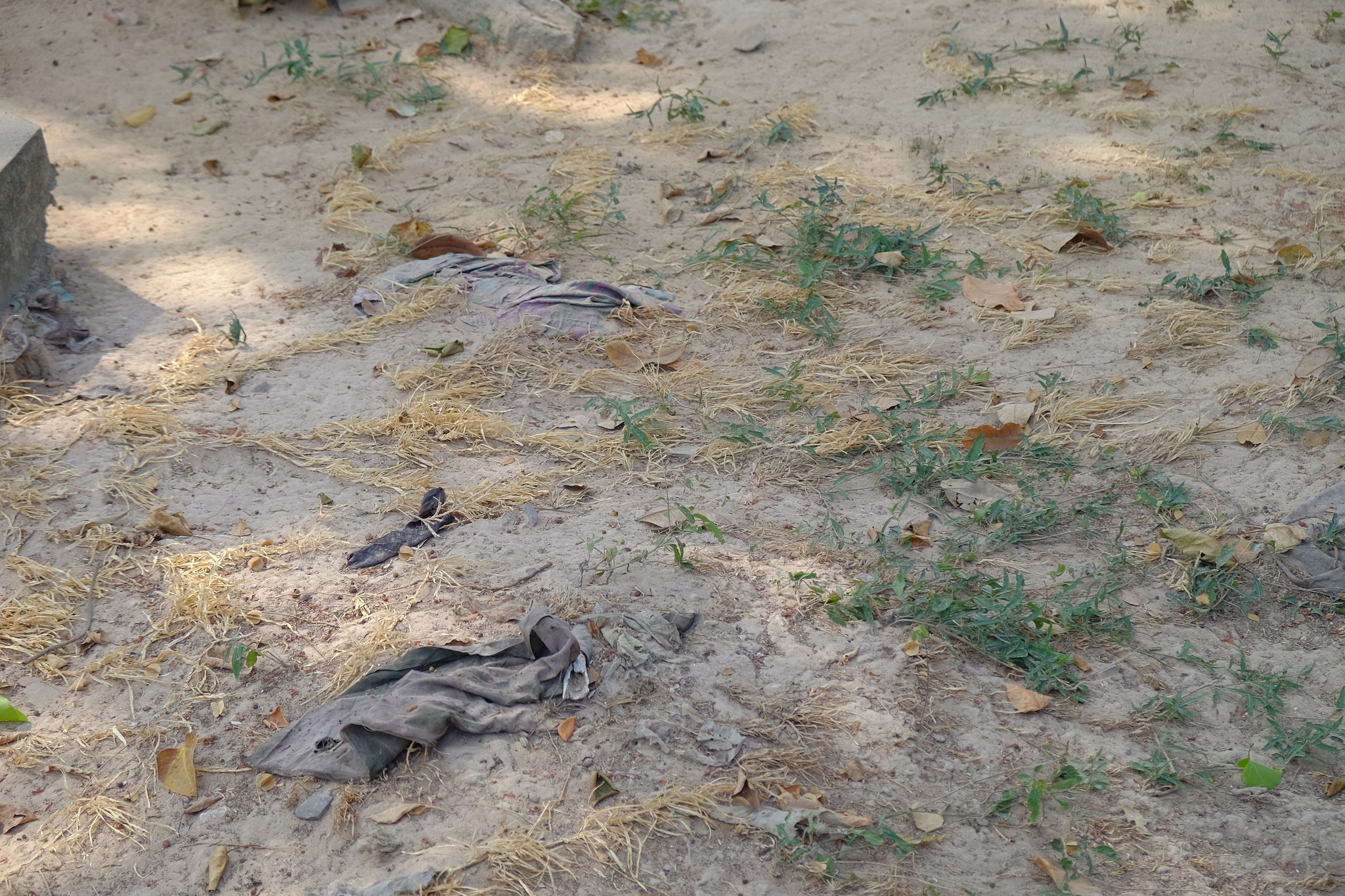 DSCF3144_Easy-Resize.com