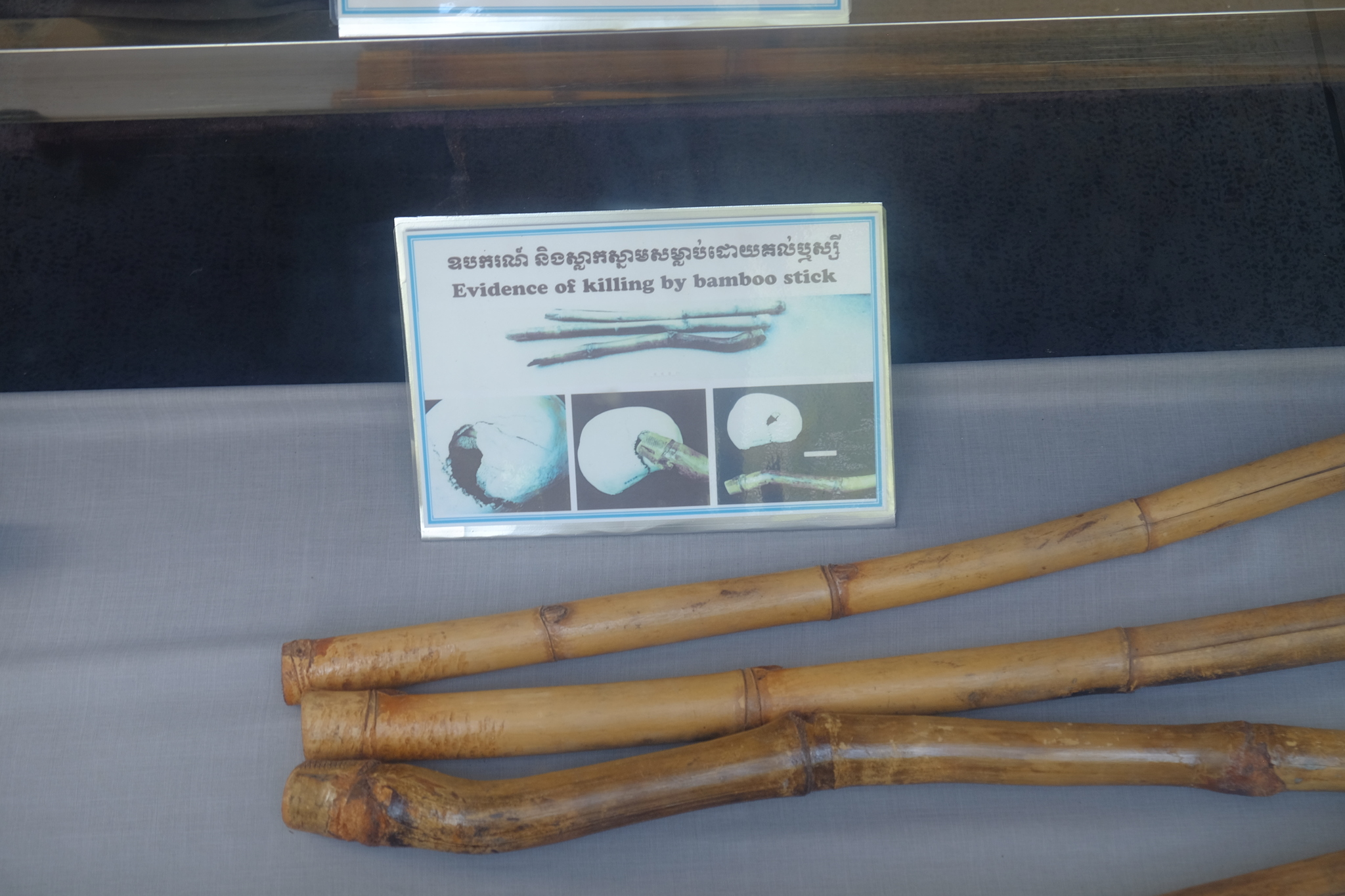 DSCF3149_Easy-Resize.com