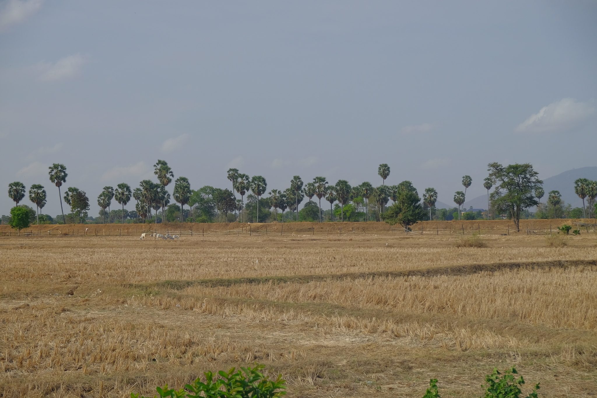 DSCF3166_Easy-Resize.com