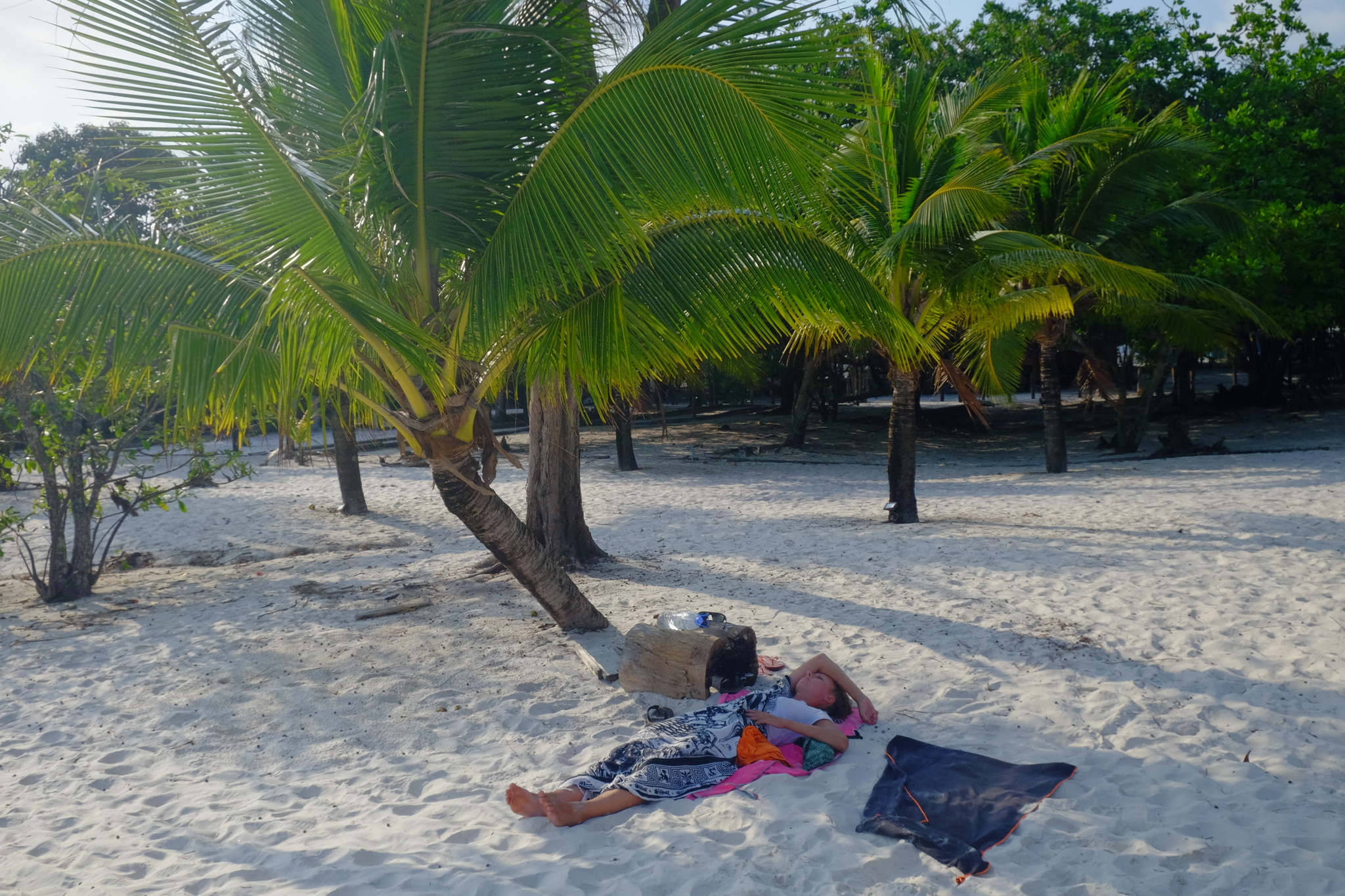 DSCF3247_Easy-Resize.com