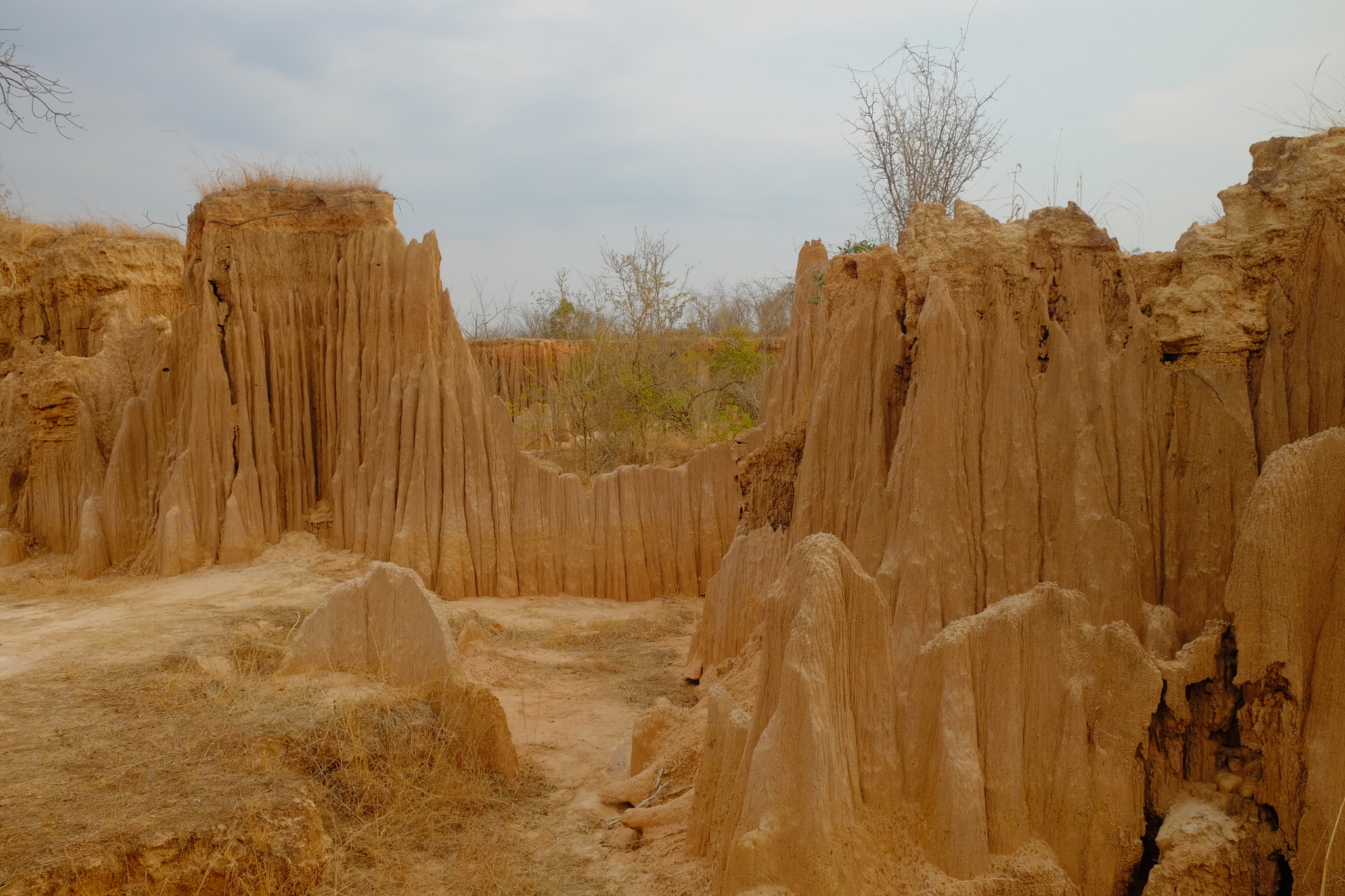 DSCF3268_Easy-Resize.com