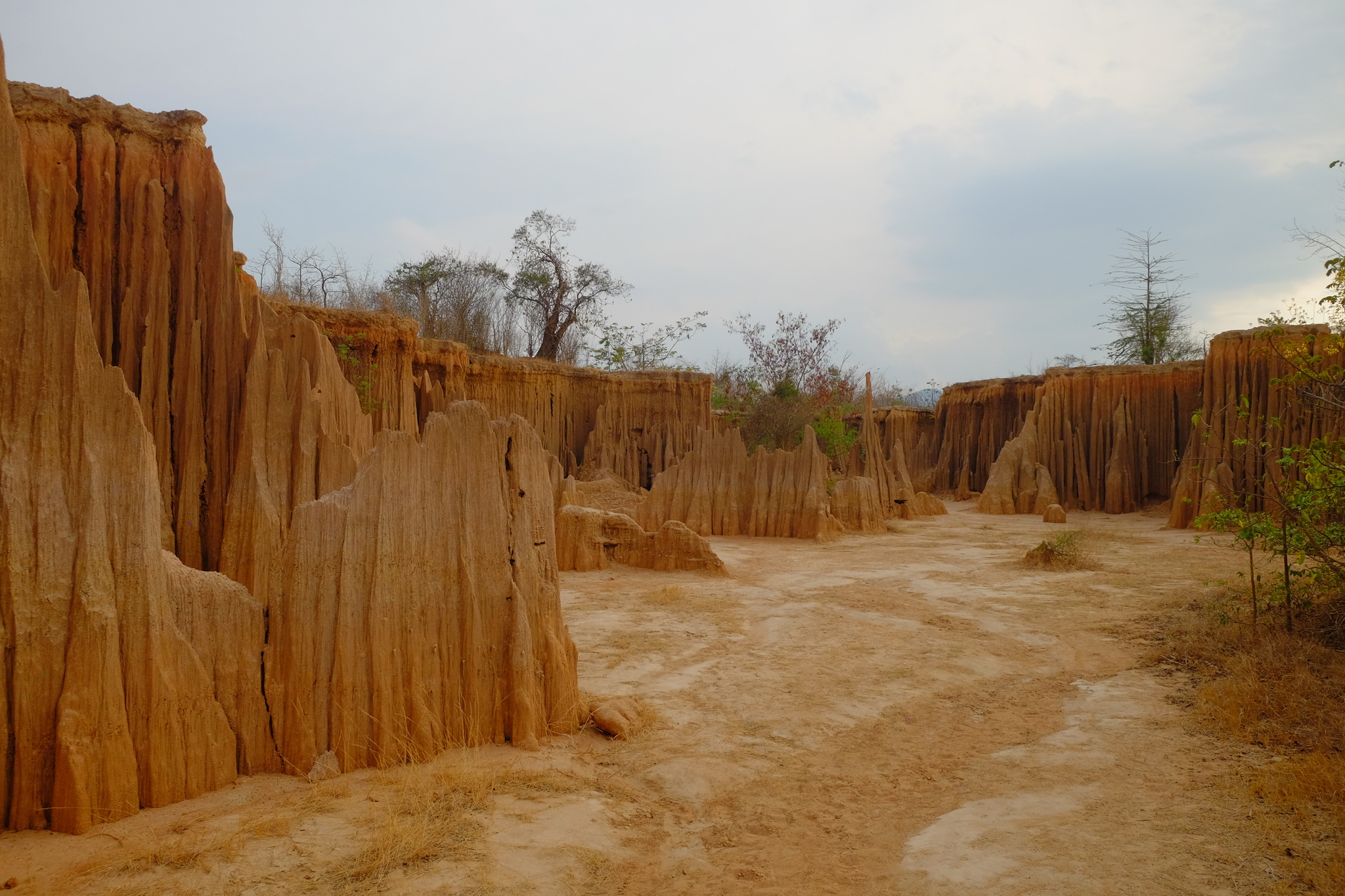 DSCF3278_Easy-Resize.com