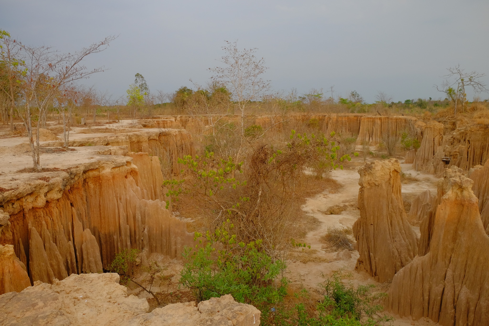 DSCF3279_Easy-Resize.com