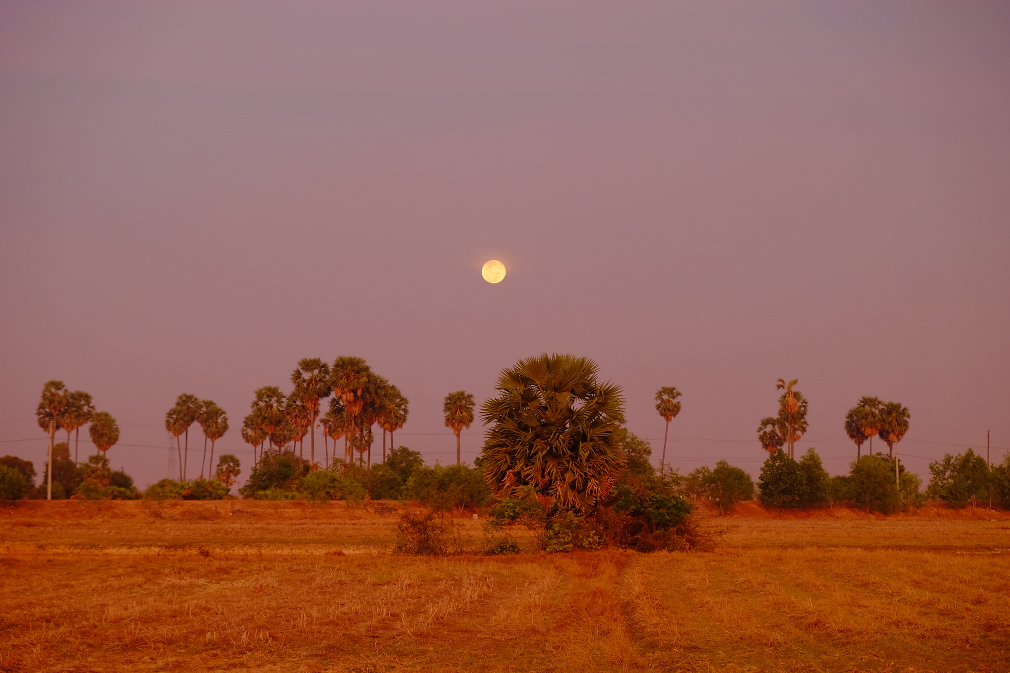 DSCF3283_Easy-Resize.com