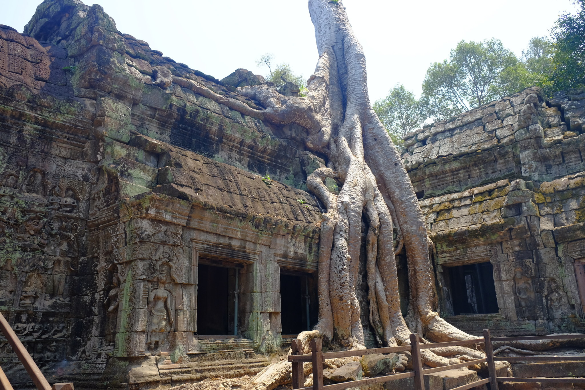 DSCF3483_Easy-Resize.com