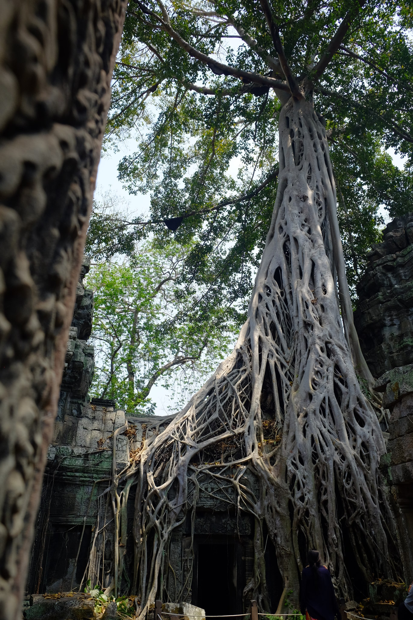 DSCF3496_Easy-Resize.com